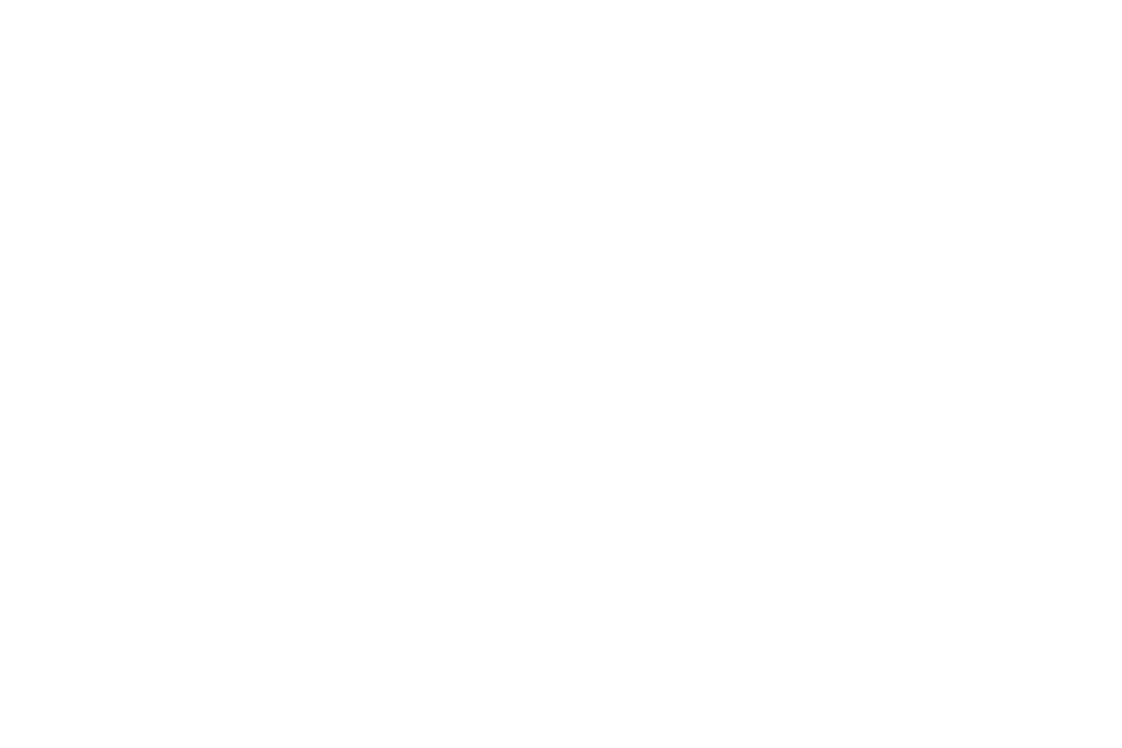 Foster meaningful partnerships