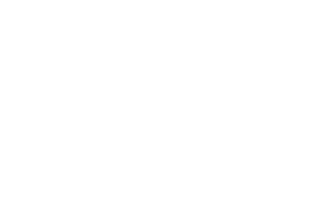 Foster meaningful partnerships