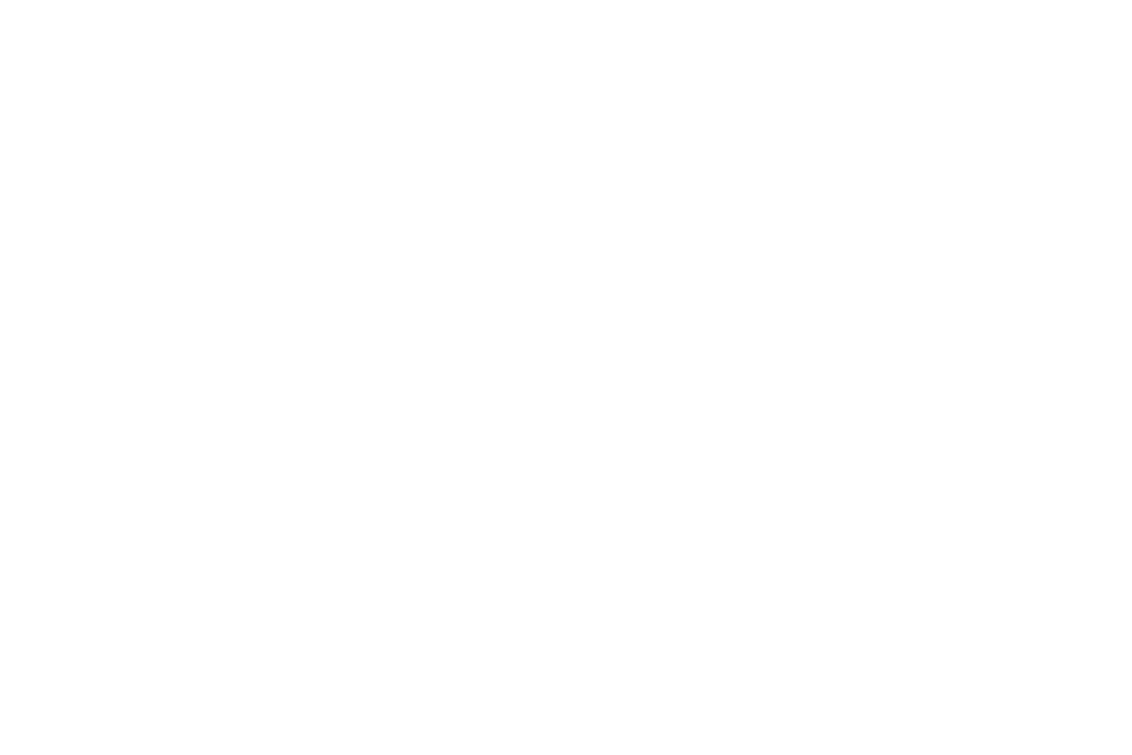Take ownership and accountability